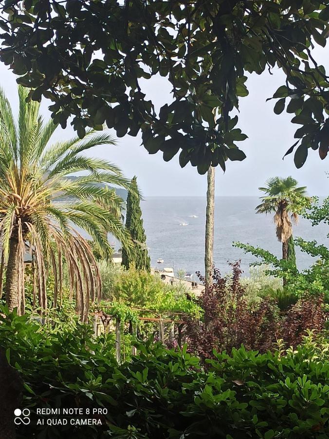 Apartment Cepic Herceg Novi Zewnętrze zdjęcie