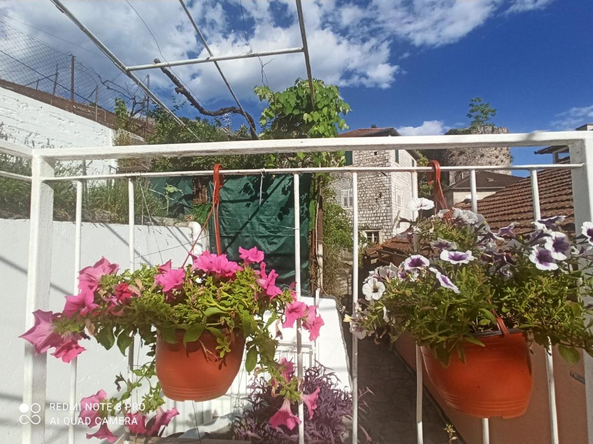 Apartment Cepic Herceg Novi Zewnętrze zdjęcie